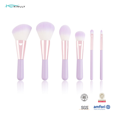 Set di pennelli cosmetico di 6PCS Mini Gift Makeup Brush Set con i capelli sintetici di due colori