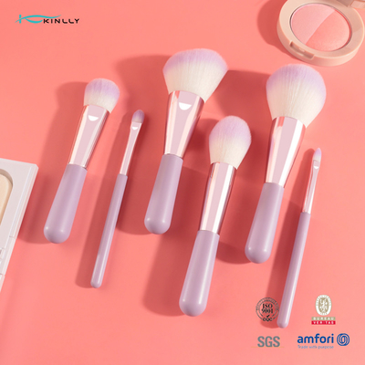 Set di pennelli cosmetico di 6PCS Mini Gift Makeup Brush Set con i capelli sintetici di due colori