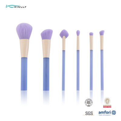 Set di pennelli cosmetico della spazzola professionale facile da pulire di trucco 6PCS con il chiaro manico di plastica dei capelli di spazzola sintetica di trucco