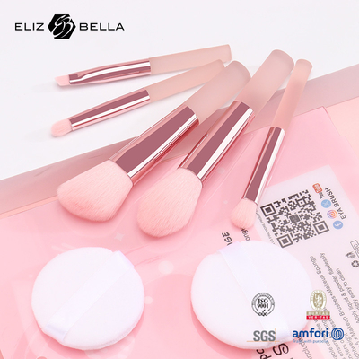 5pcs Cute Travel Makeup Brush Kits con stampa trasparente PVC Box OEM