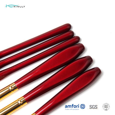 Set di pennelli cosmetico rosso di trucco dei capelli 6PCS della capra dell'OEM