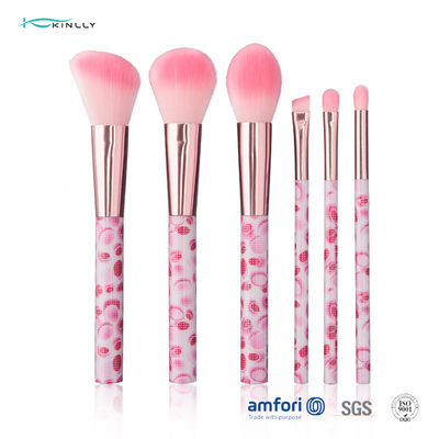 Set di pennelli cosmetico 6pcs di viaggio di plastica di nylon rosa dei capelli con il puntale di alluminio
