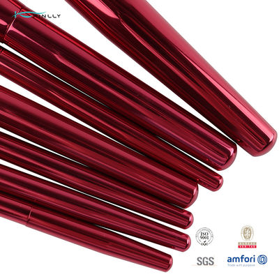 Set di pennelli sintetico di trucco dei pc del ODM 10 dell'OEM dei capelli con il sacchetto simile a cometa