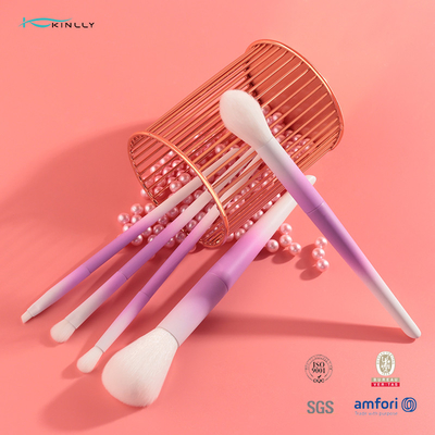 Set di pennelli rosa di trucco del ODM dell'OEM OBM di dimensione di viaggio con capelli sintetici