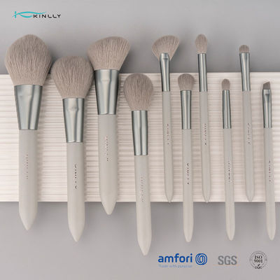 Set di pennelli di lusso nano di trucco dell'OEM 10PCS per il fronte