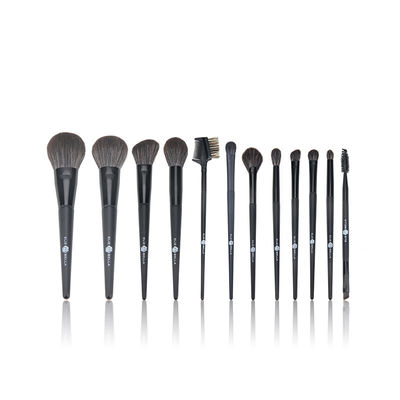 Strumento sintetico di bellezza dei cosmetici del set di pennelli di trucco del nero dei capelli 12PCS